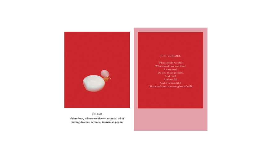 Book of Scents (detail) | 2012-2013 | 52-page book, edition of 100 (signed and numbered)